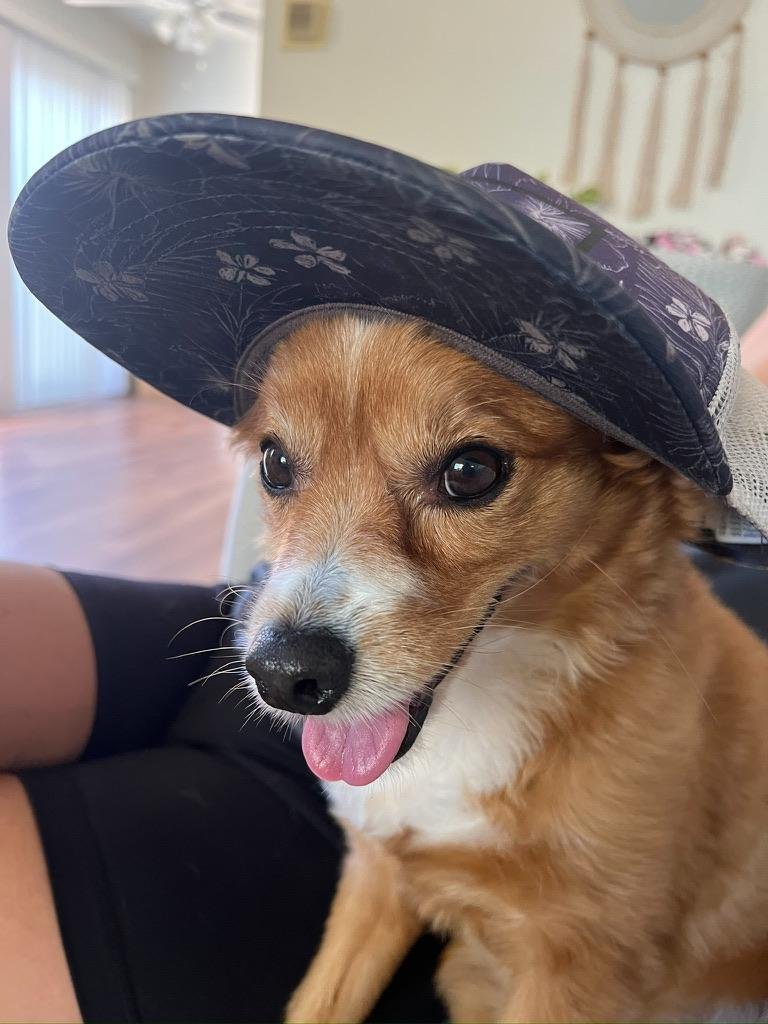 Mya wearing an adorable hat